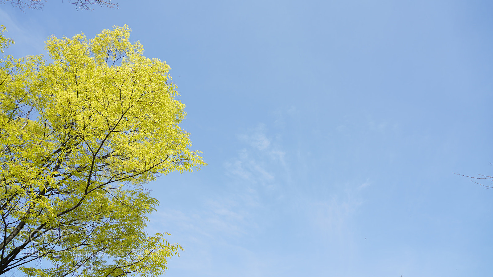 Sony a7R III sample photo. Vivid photography