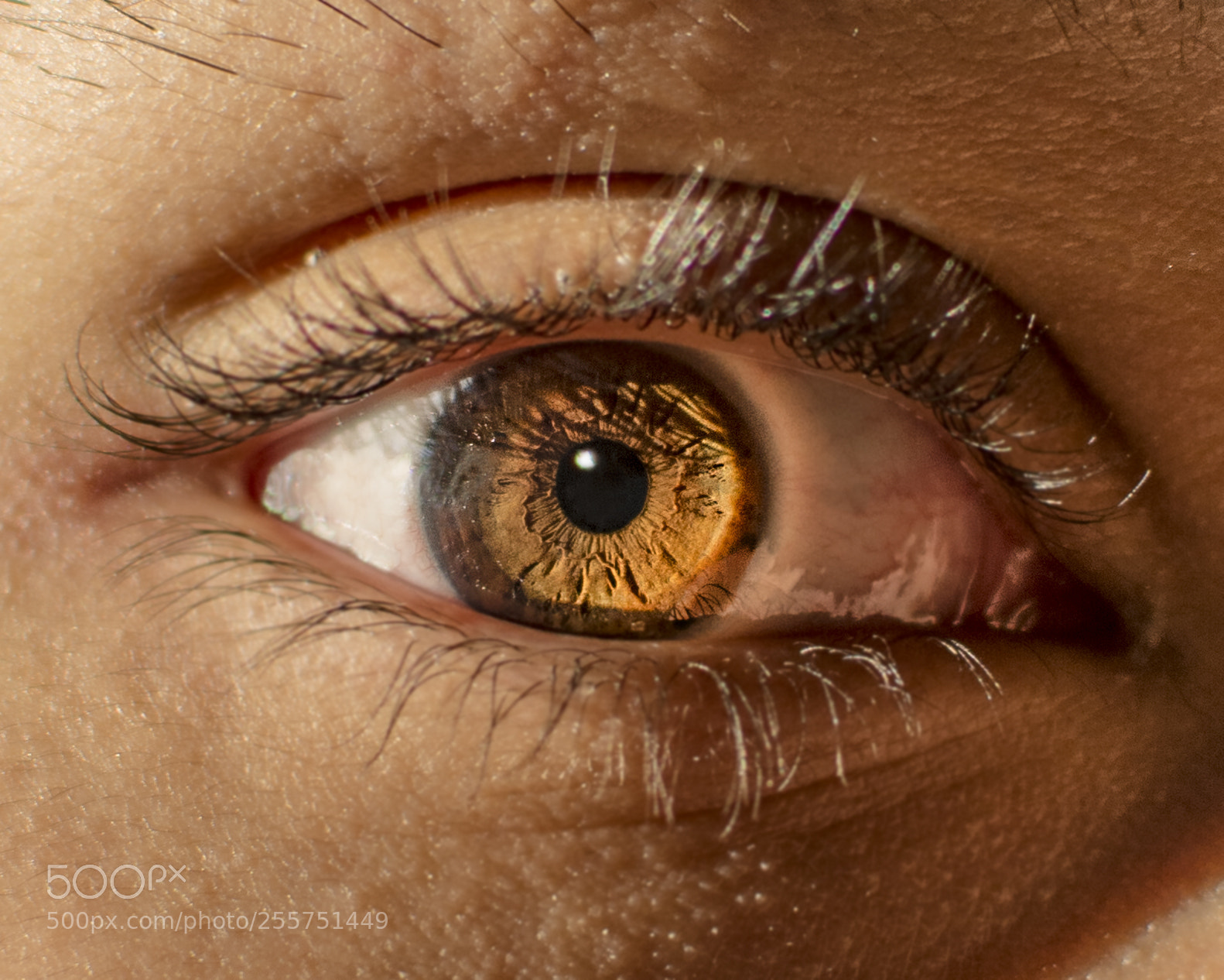 Nikon D7100 sample photo. Eye on fire photography