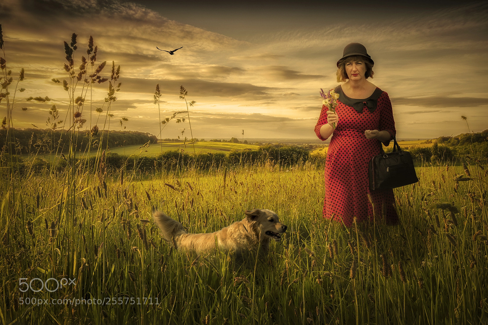 Canon EOS 7D Mark II sample photo. An evening stroll photography