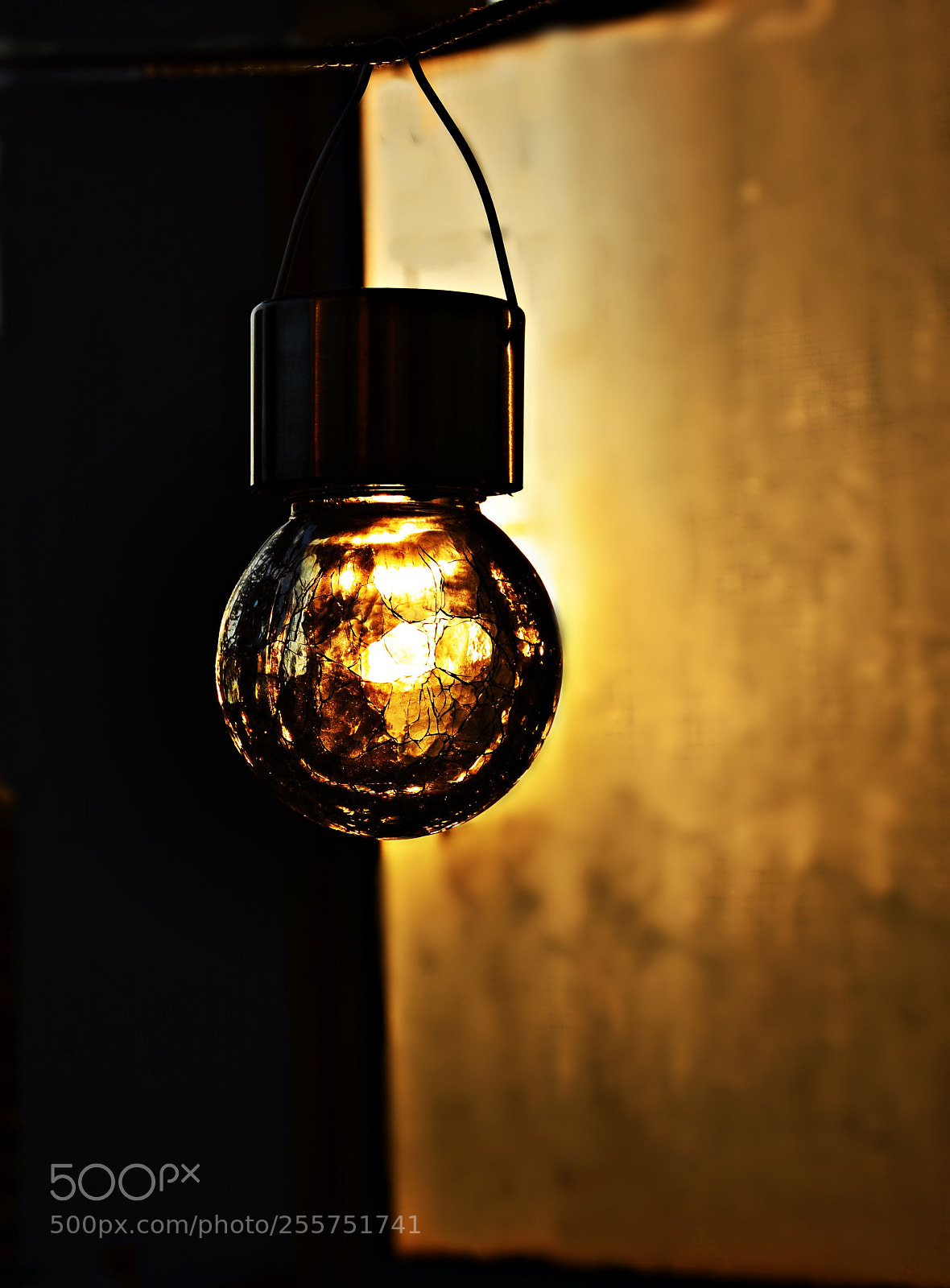 Nikon D5100 sample photo. Glimpse photography