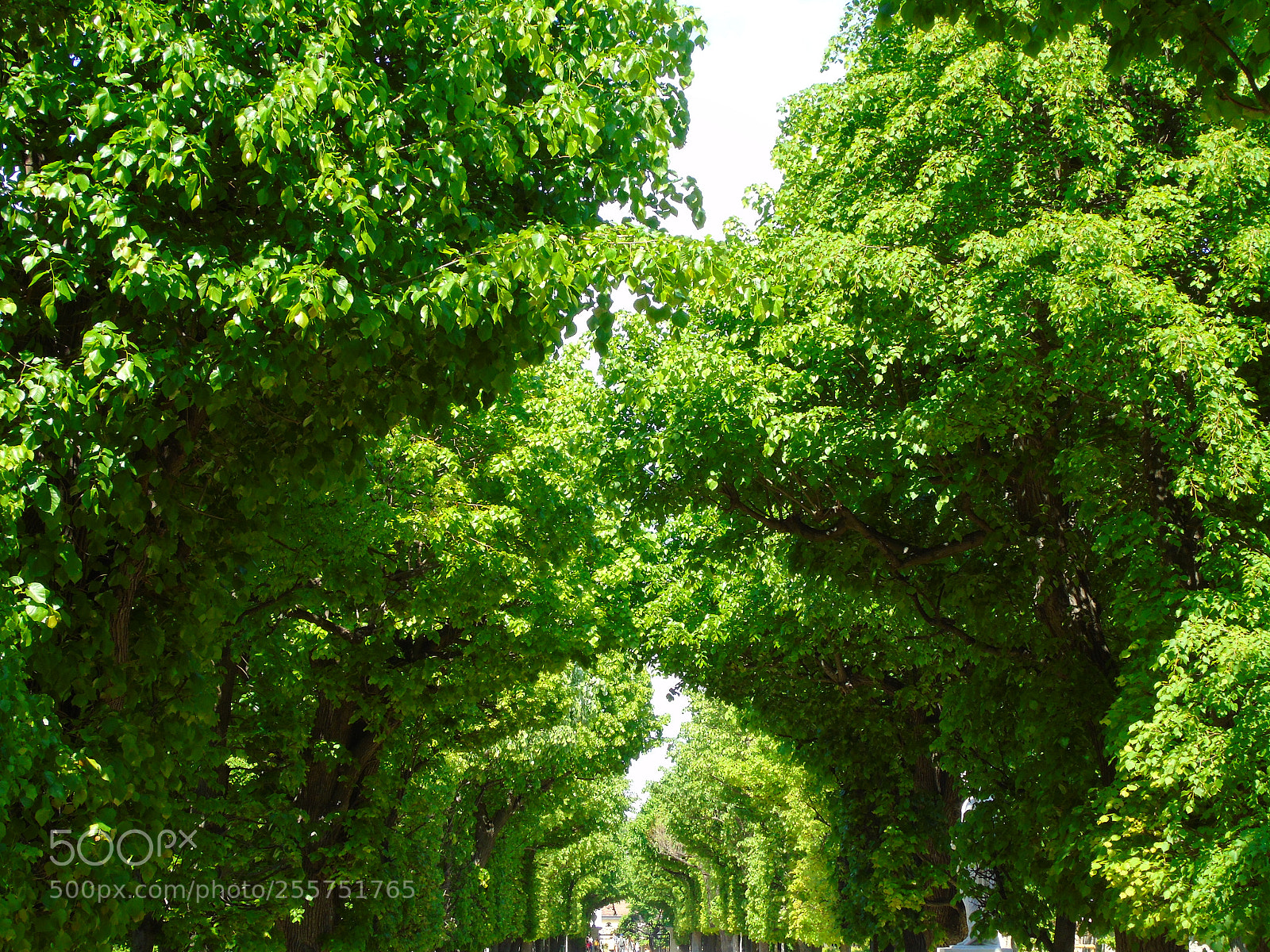 Sony Cyber-shot DSC-H400 sample photo. Untitled photography