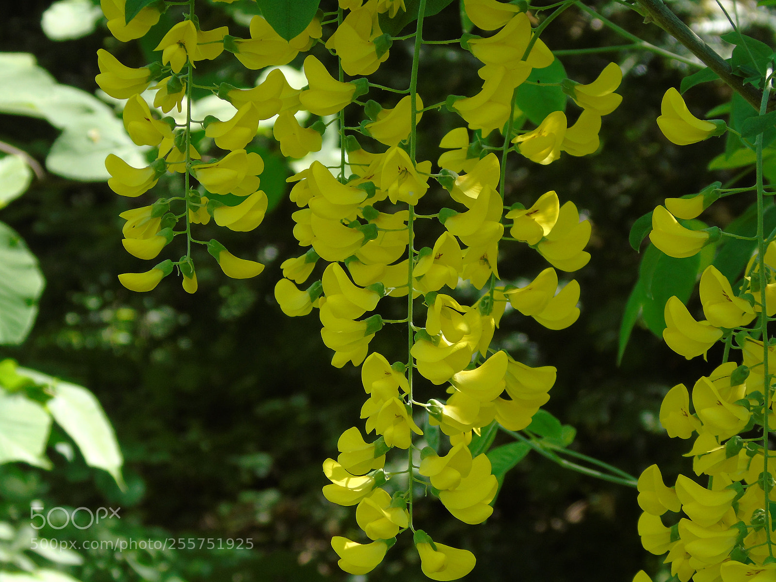 Sony Cyber-shot DSC-H400 sample photo. Untitled photography