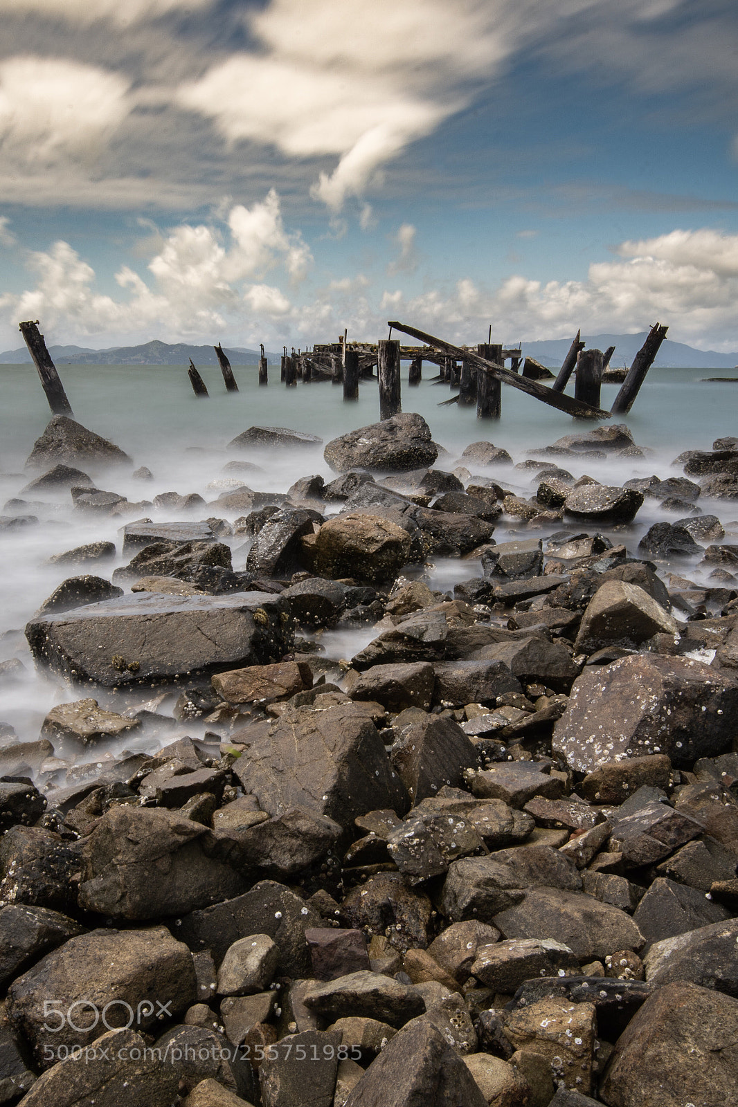 Nikon D500 sample photo. Ruins at the albany photography