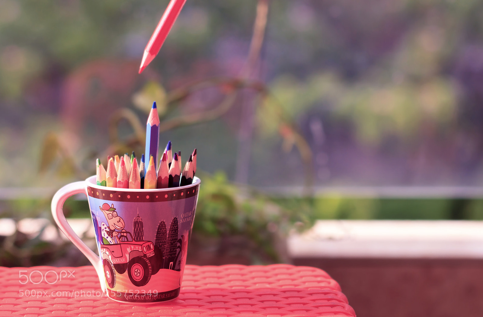 Canon EOS 550D (EOS Rebel T2i / EOS Kiss X4) sample photo. A cup full of photography