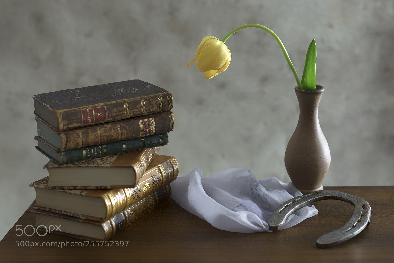 Nikon D600 sample photo. Tulipe jaune photography