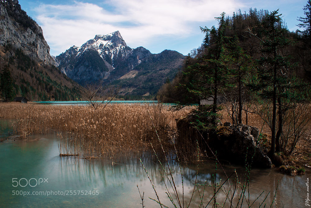 Canon EOS 550D (EOS Rebel T2i / EOS Kiss X4) sample photo. Leopoldsteinersee photography