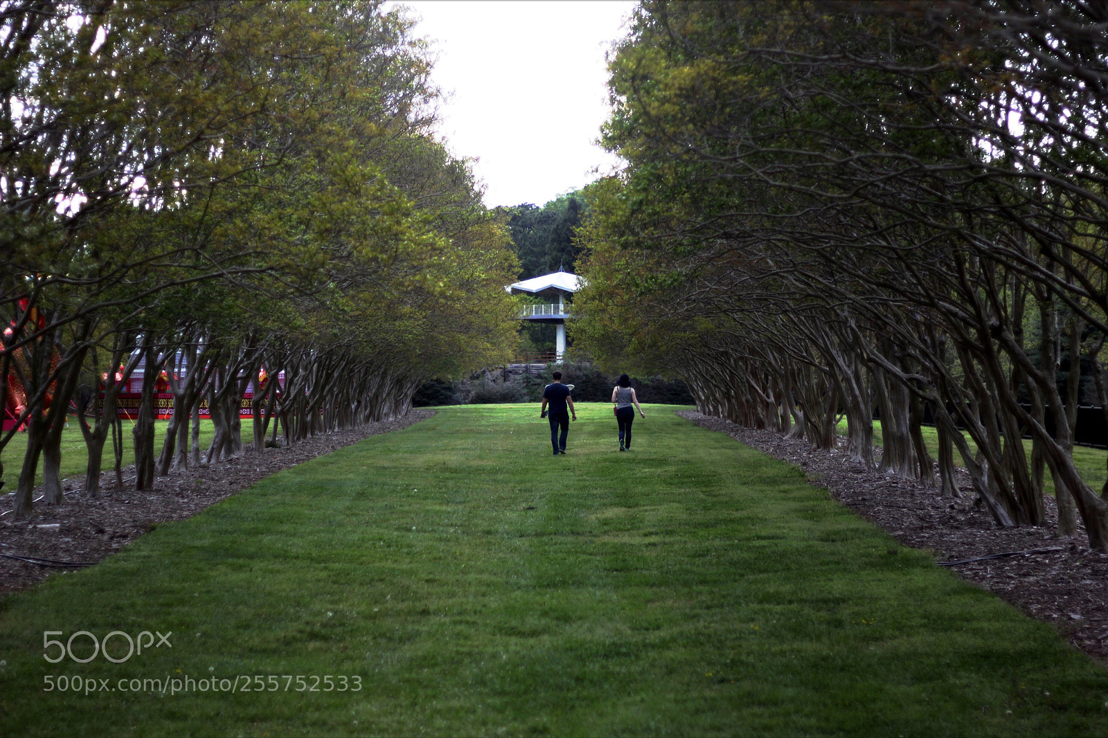Canon EOS 60D sample photo. Follow the path  photography