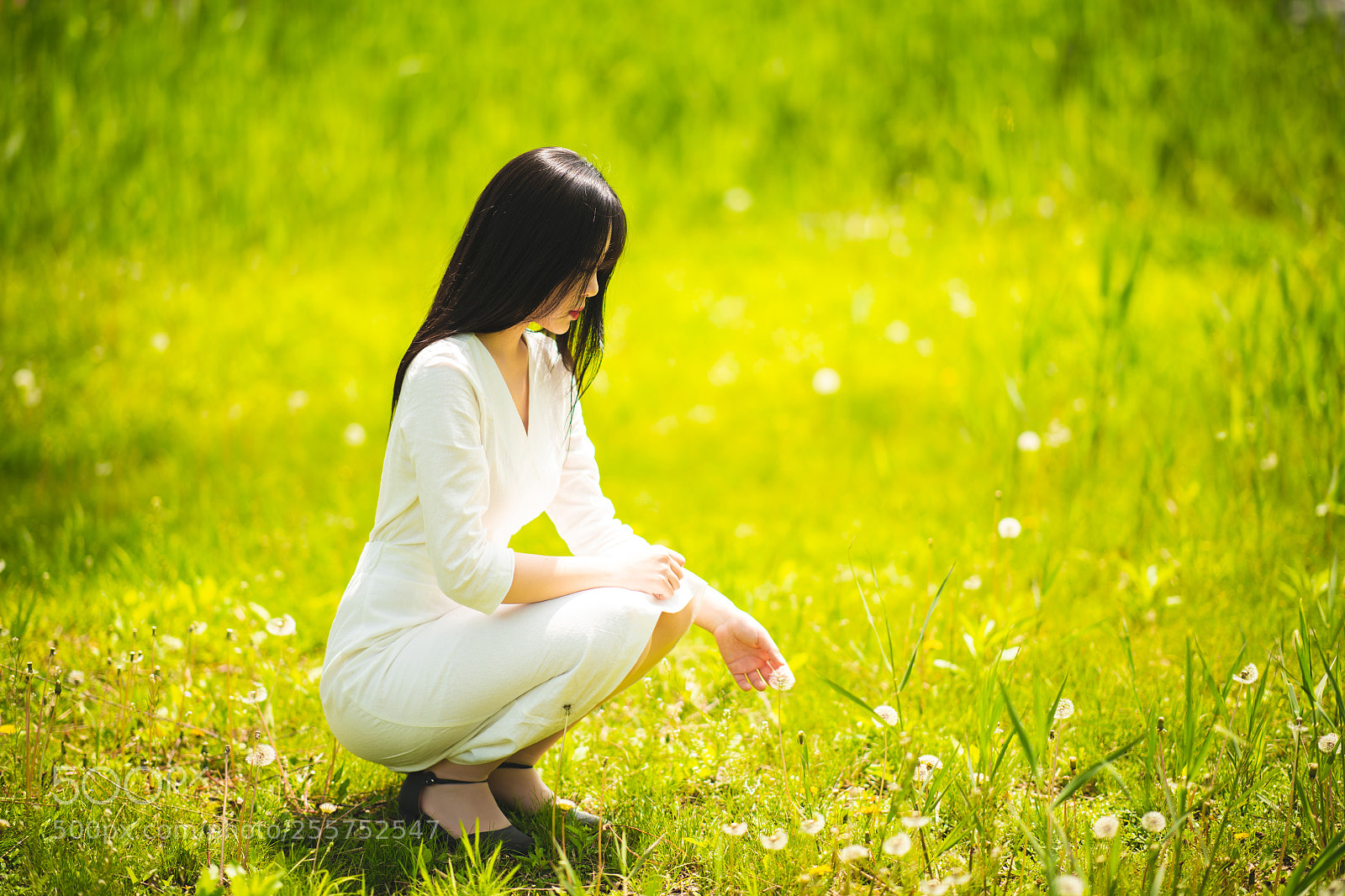 Nikon D850 sample photo. Spring photography
