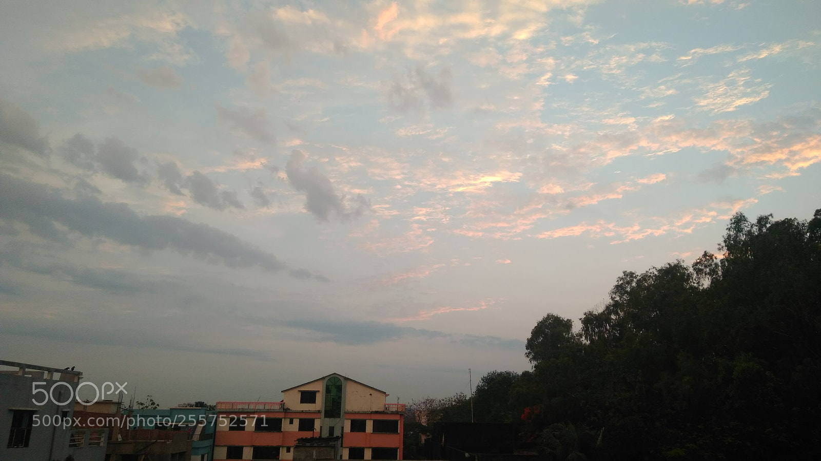 Xiaomi Redmi 4 Pro sample photo. Untitled photography