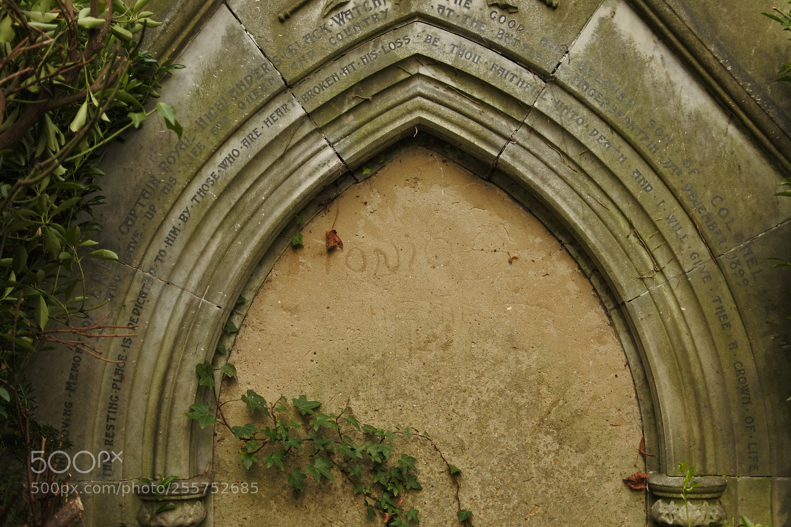Nikon 1 J5 sample photo. Kensal green cemetery ii photography