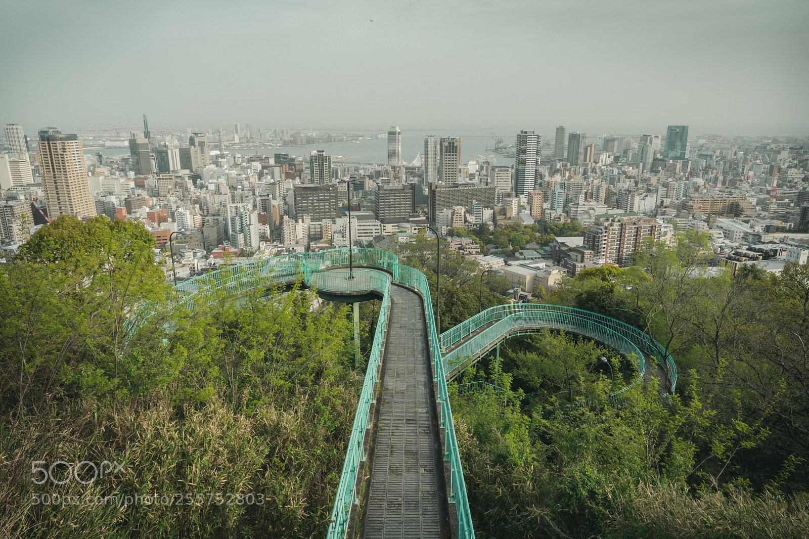 Nikon D7500 sample photo. Venus bridge photography