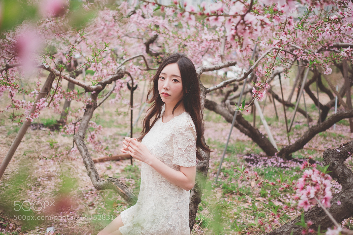 Fujifilm X-H1 sample photo. Dscf photography