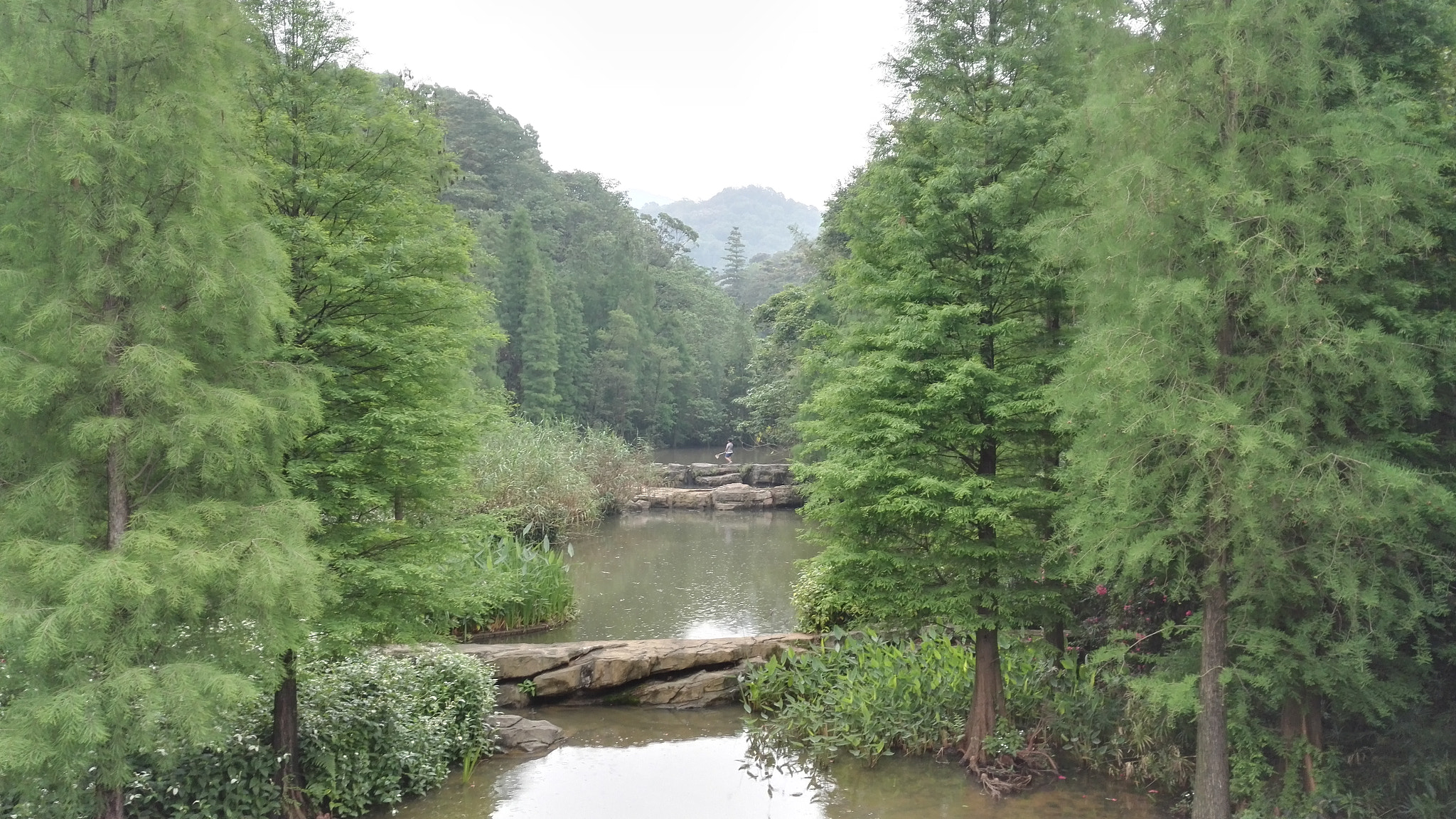 HUAWEI Honor 7 sample photo