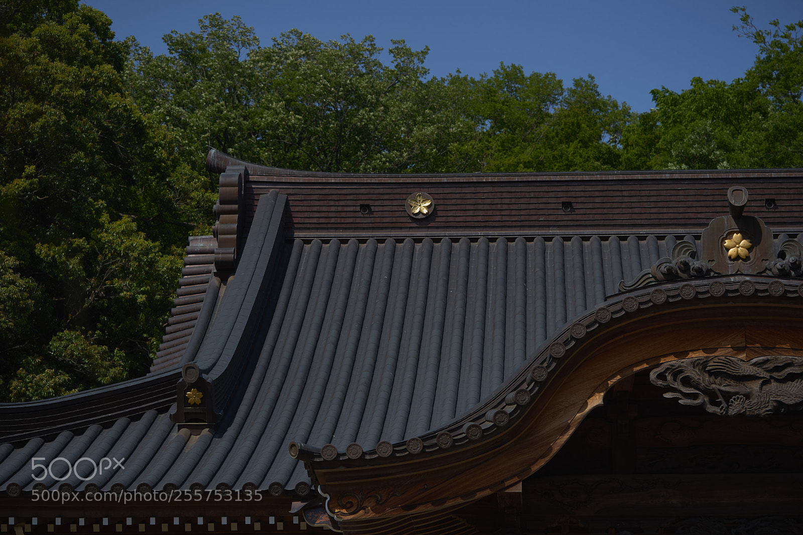 Sony a7 sample photo. Street 296 photography