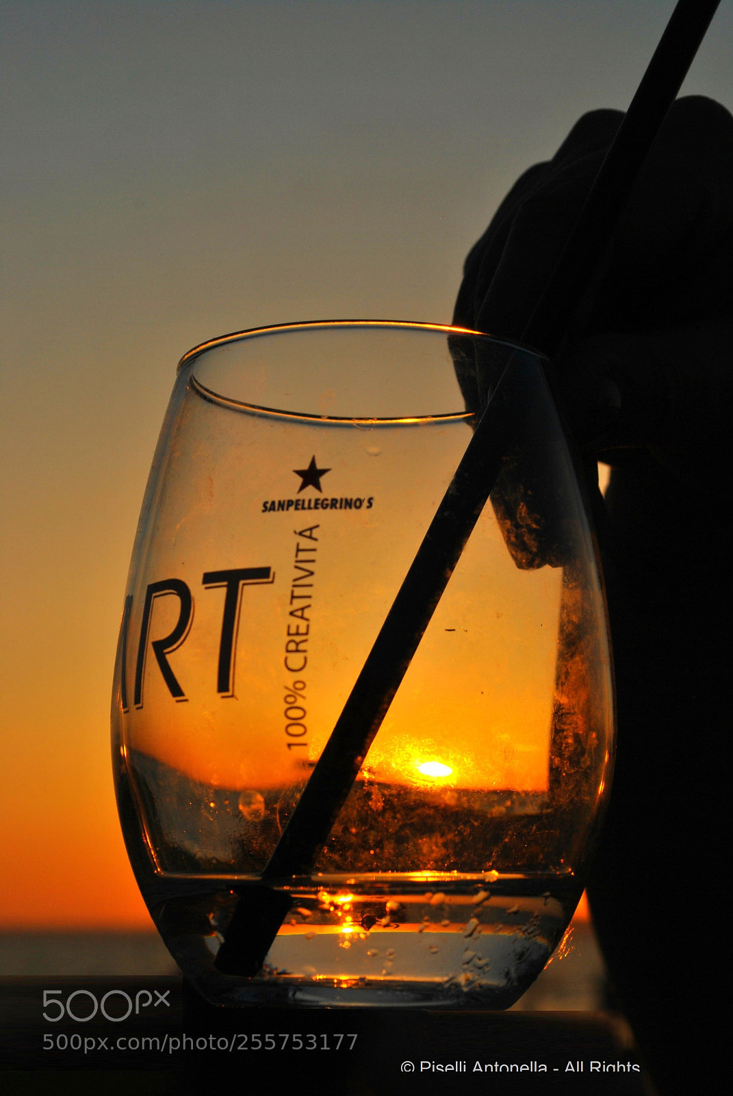 Nikon D3000 sample photo. La creativit l intelligenza photography