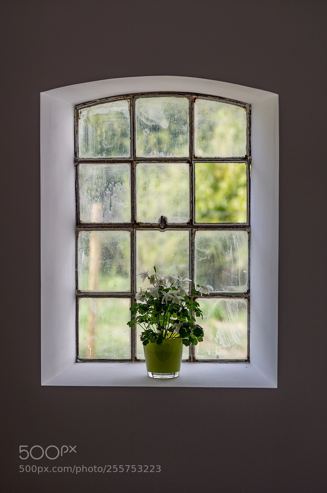 Sony SLT-A55 (SLT-A55V) sample photo. Barn window photography