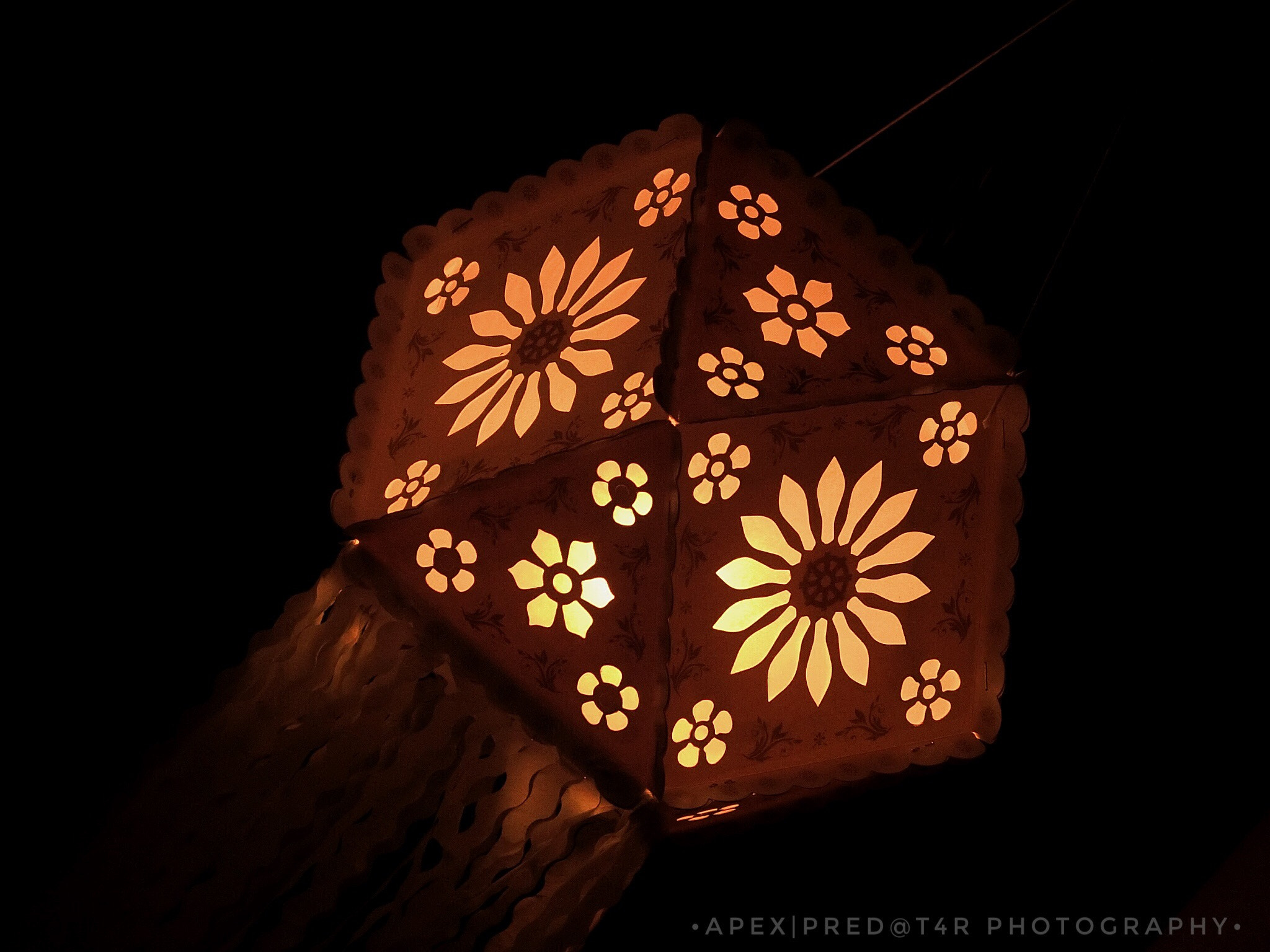 CASIO EX-100 sample photo. Vesak 2018 photography