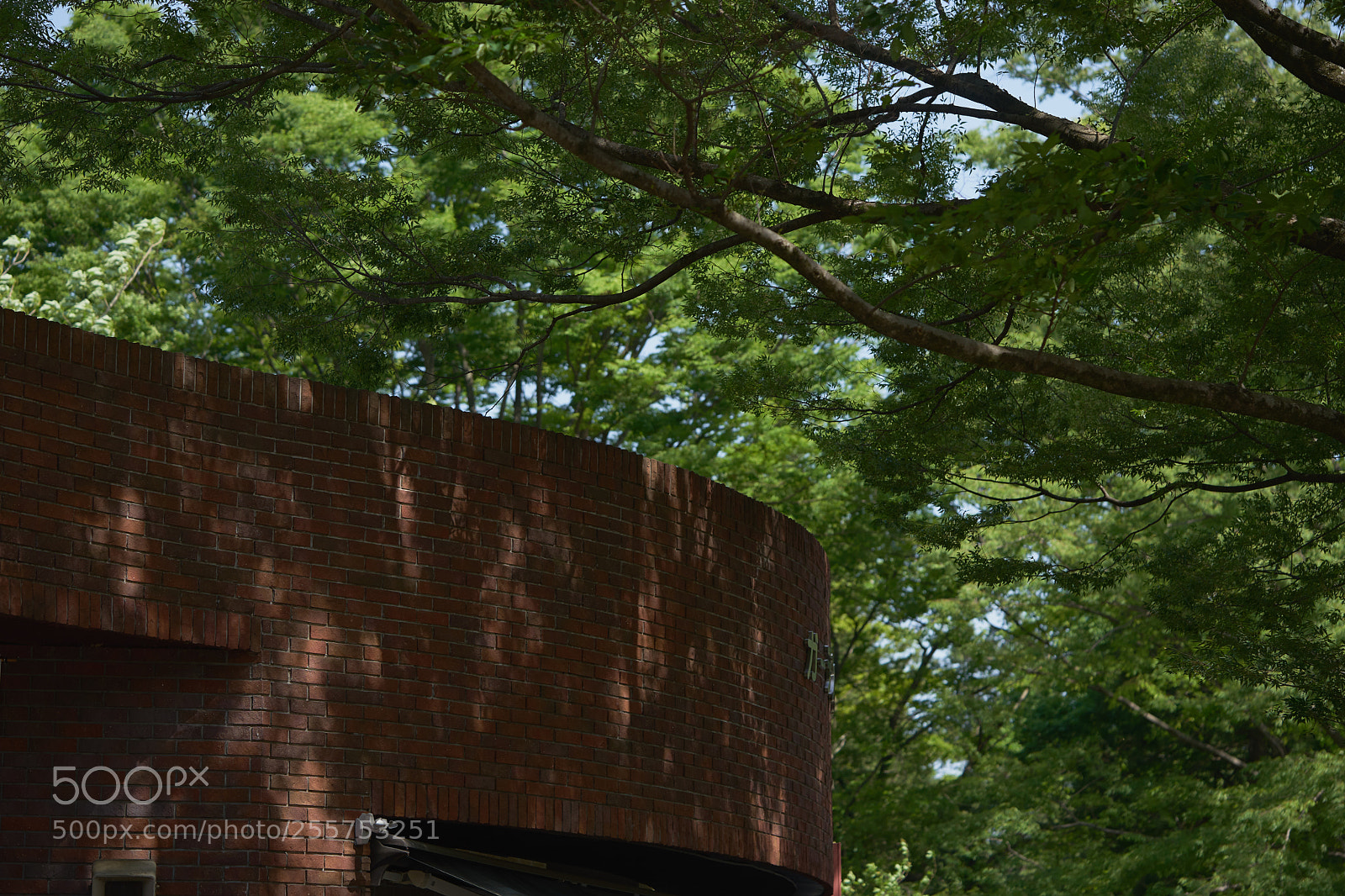 Sony a7 sample photo. Street 297 photography