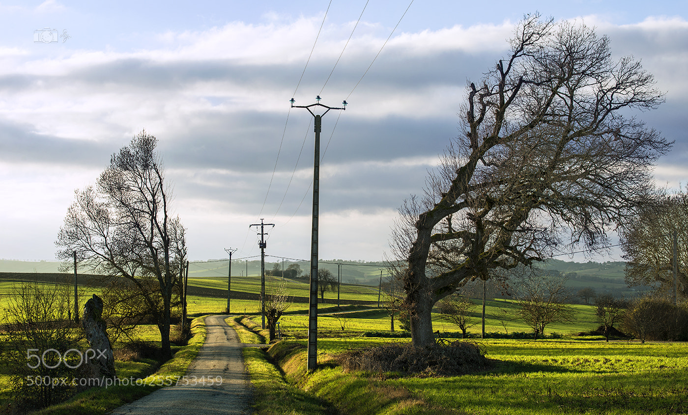 Nikon D610 sample photo. Passage photography