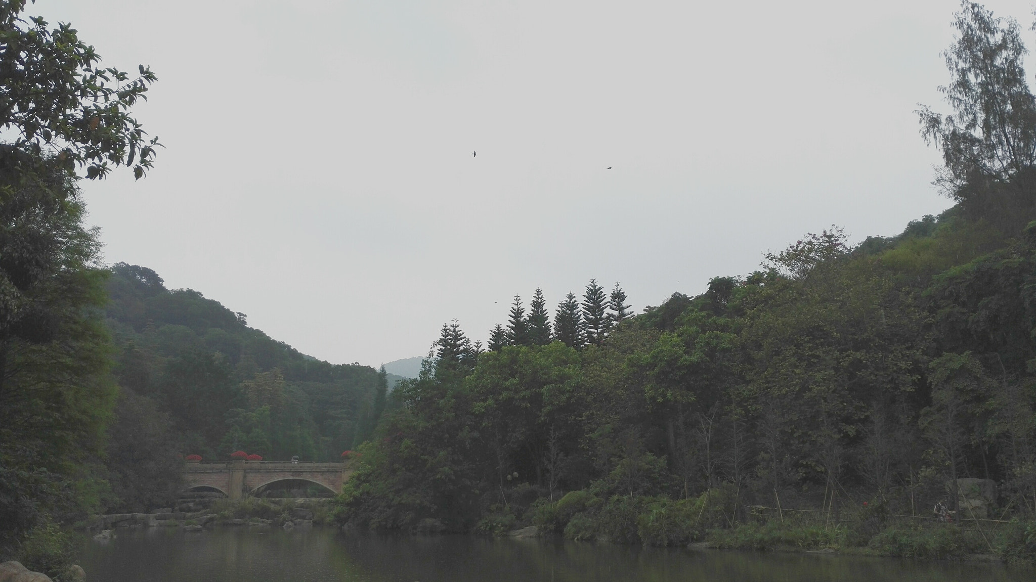 HUAWEI Honor 7 sample photo. Rainy scene in yun xi park photography