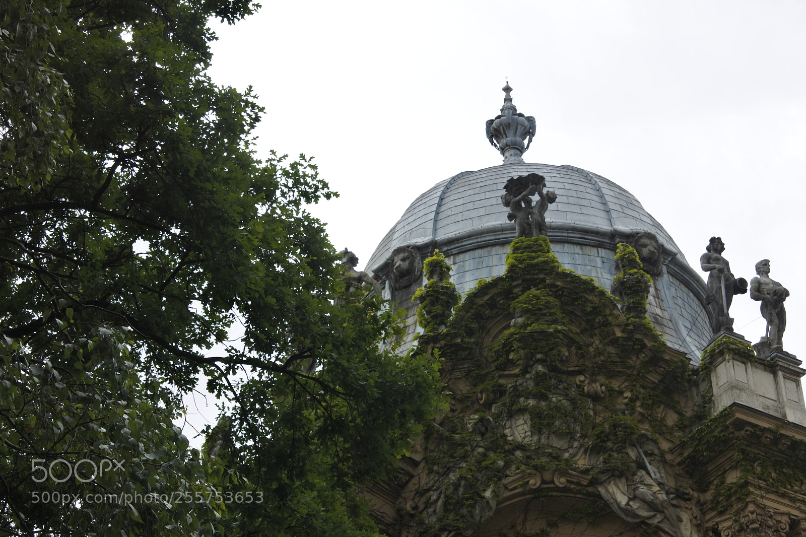 Nikon 1 J5 sample photo. Budapest - vajdahunyad castle photography