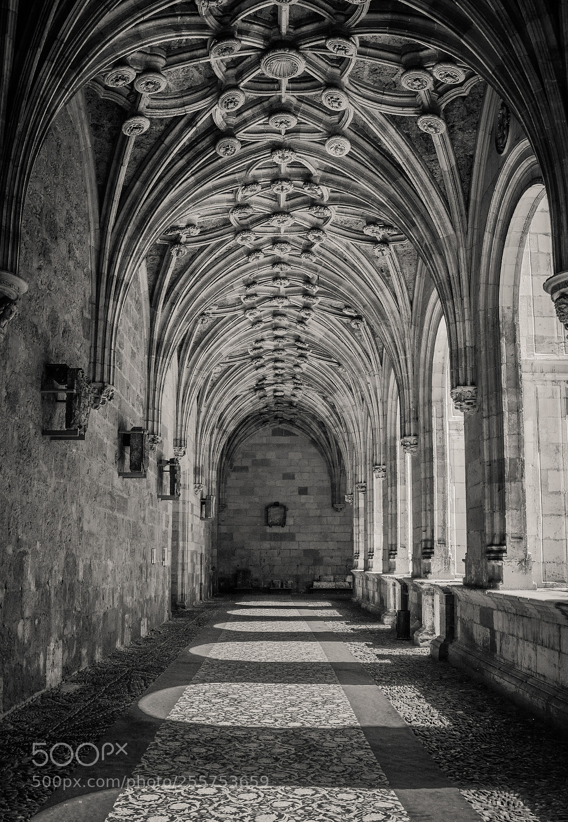 Nikon D7100 sample photo. San isidoro photography