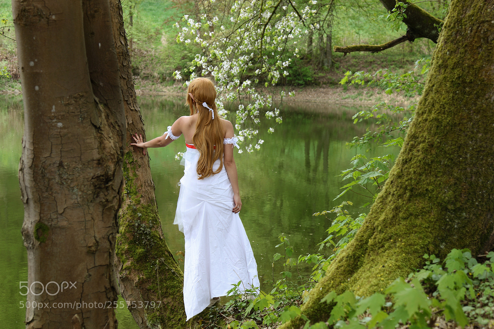 Canon EOS 7D Mark II sample photo. Asuna 4 photography