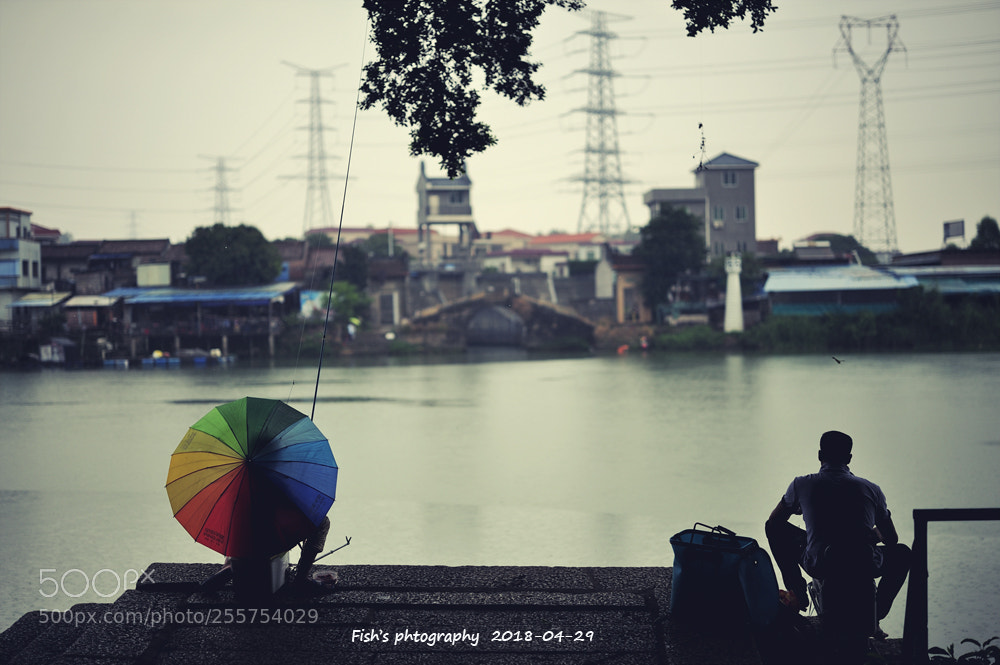 Nikon D700 sample photo. 顺德右滩 photography