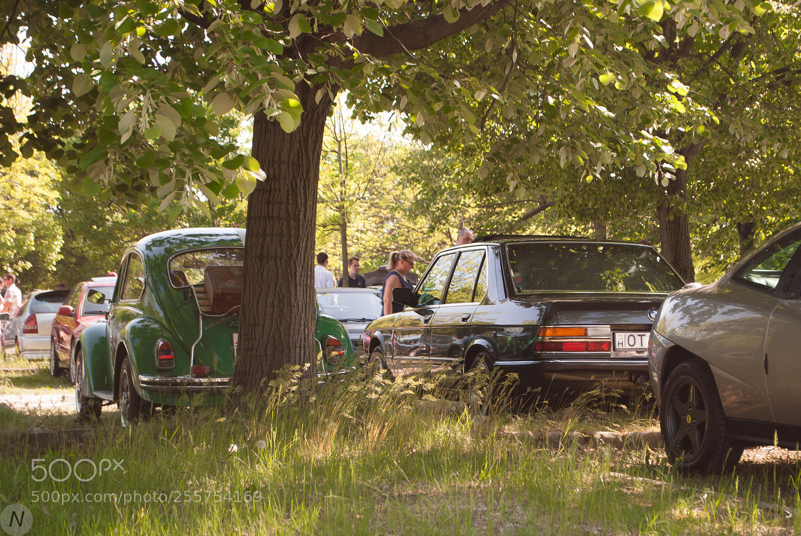 Nikon D3000 sample photo. Summer photography