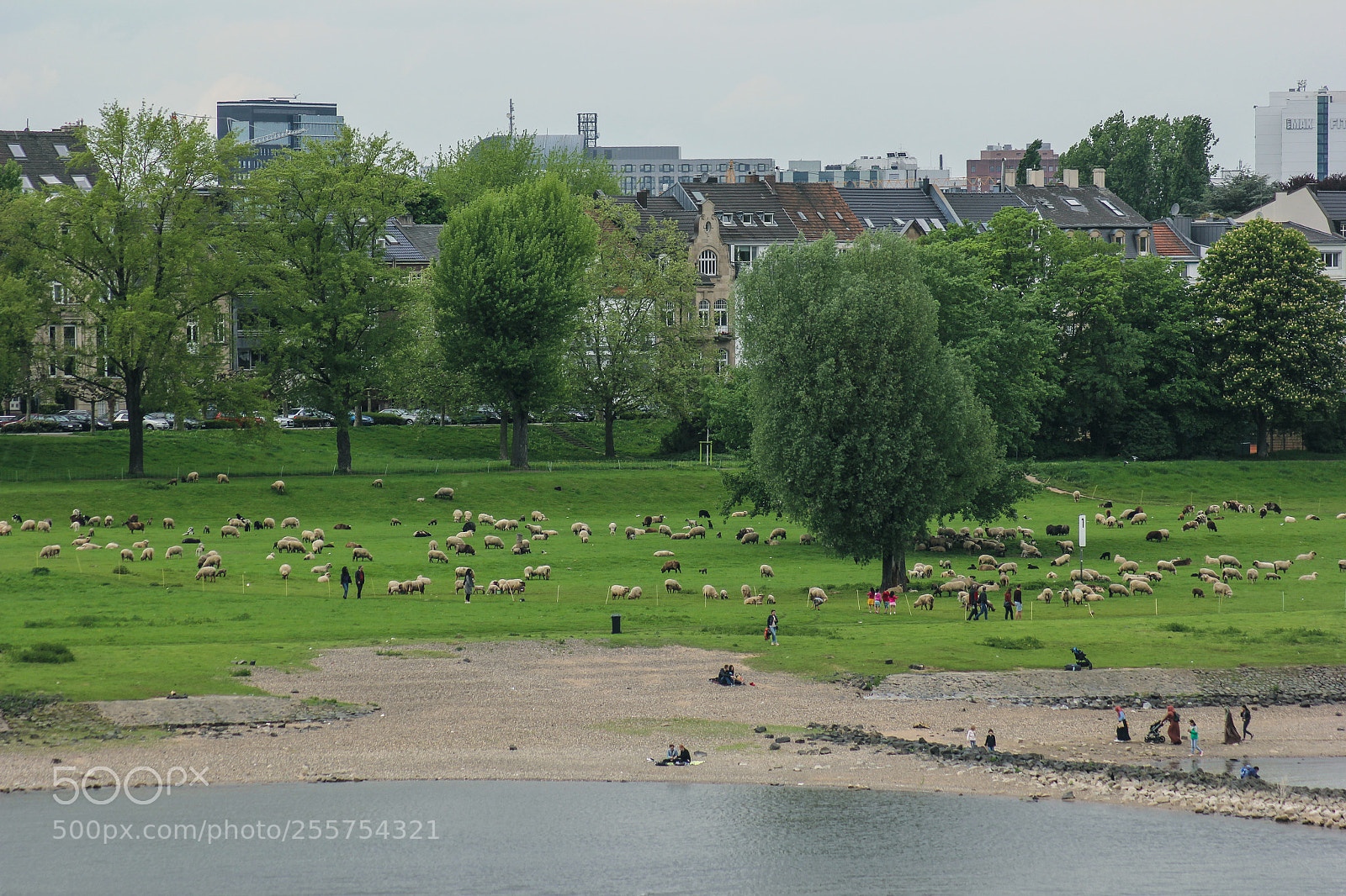 Canon EOS 60D sample photo. Moments in nature photography