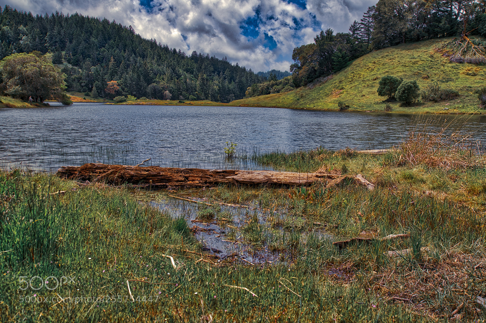 Nikon D850 sample photo. Lake lagunitas california photography