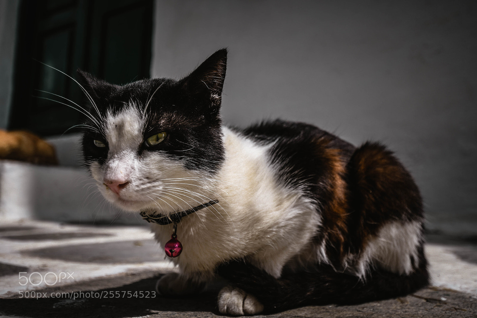 Nikon D7500 sample photo. Greece photography