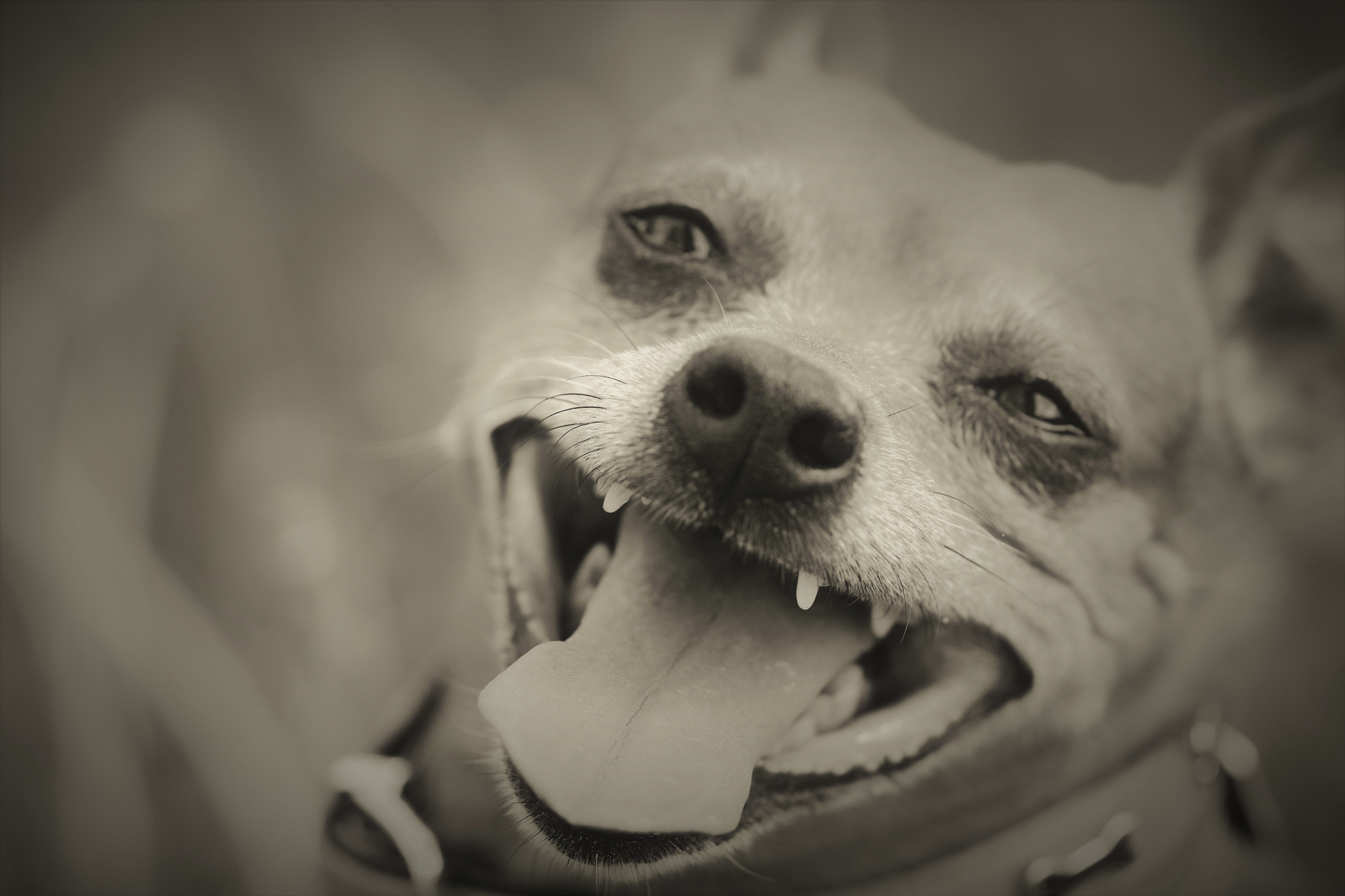 Pentax smc D-FA 100mm F2.8 Macro WR sample photo. Retro smile photography