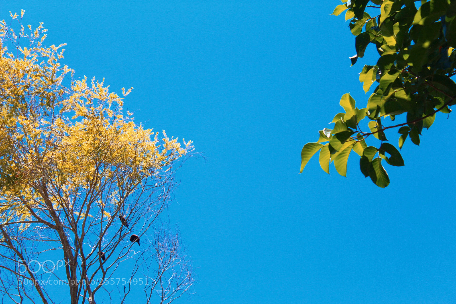 Canon EOS 1300D (EOS Rebel T6 / EOS Kiss X80) sample photo. Underneath the trees ? photography