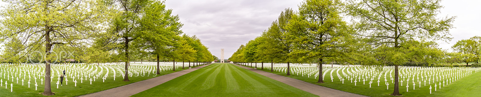 Sony SLT-A58 sample photo. War cemetry photography
