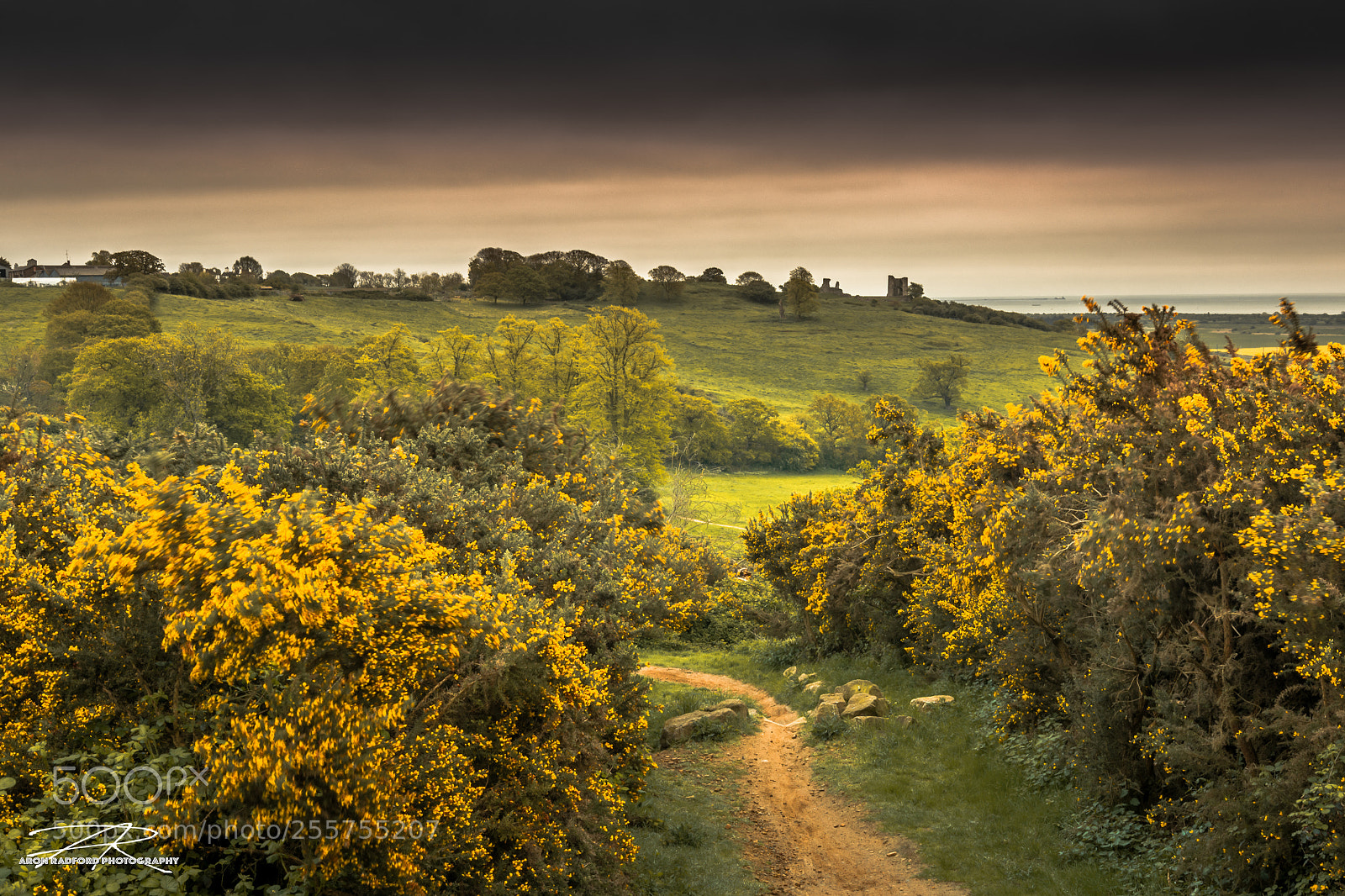 Nikon D7100 sample photo. Hadleigh castle (park view) photography