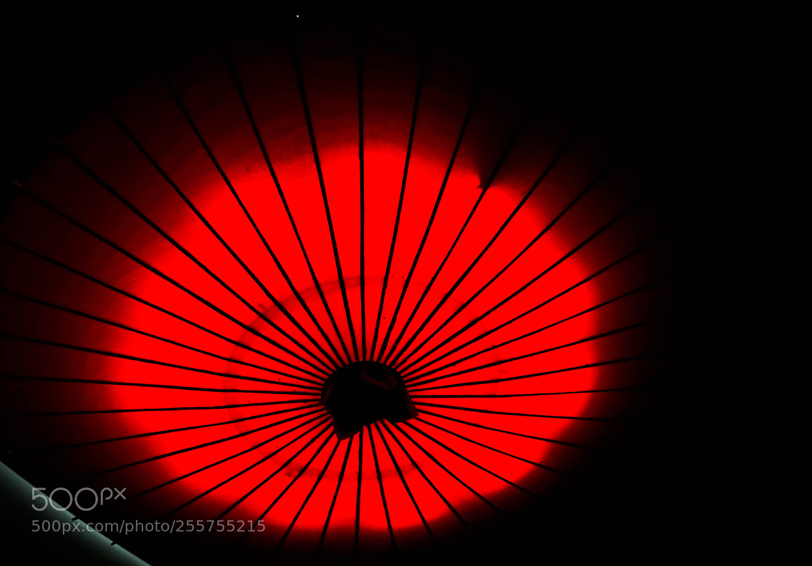 Sony a6000 sample photo. An umbrella photography