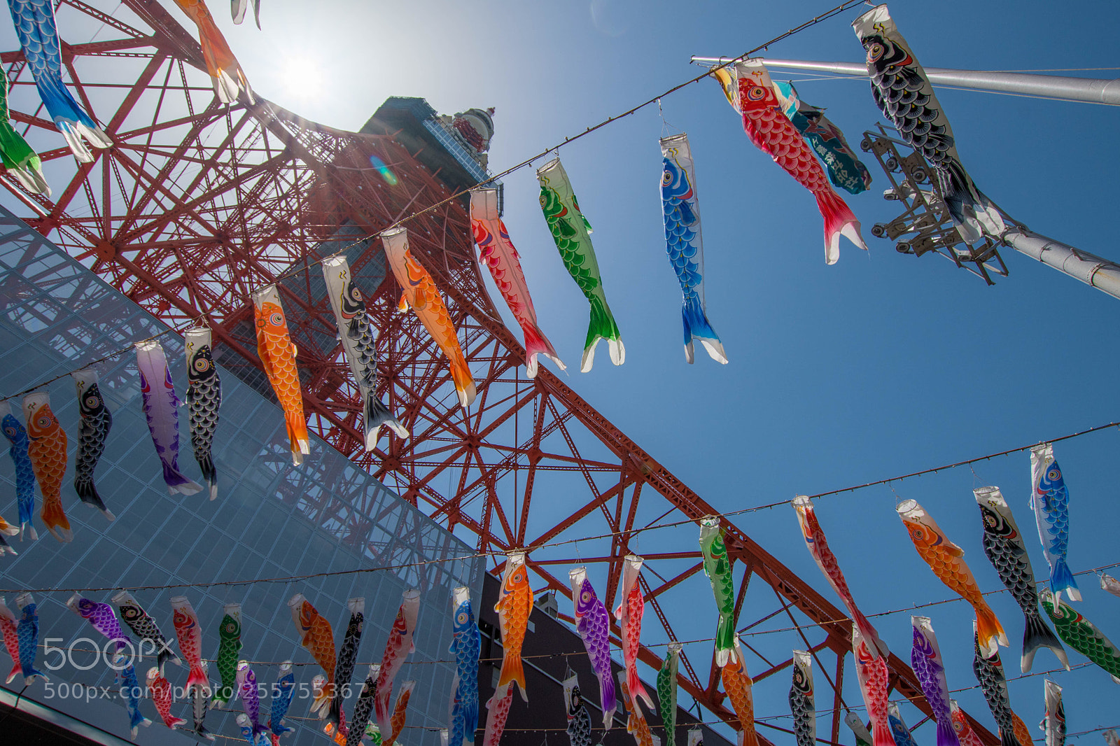Nikon D7500 sample photo. Carp- shaped streamer photography
