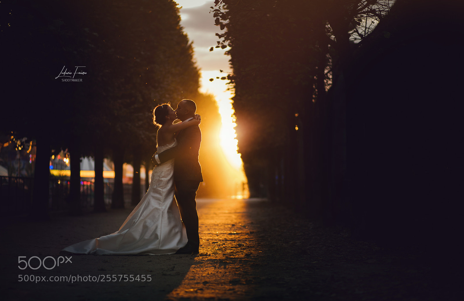 Canon EOS 5D Mark IV sample photo. Golden kiss photography