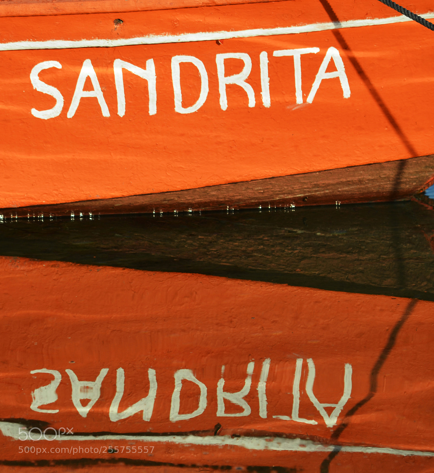 Nikon D5100 sample photo. Sandrita photography