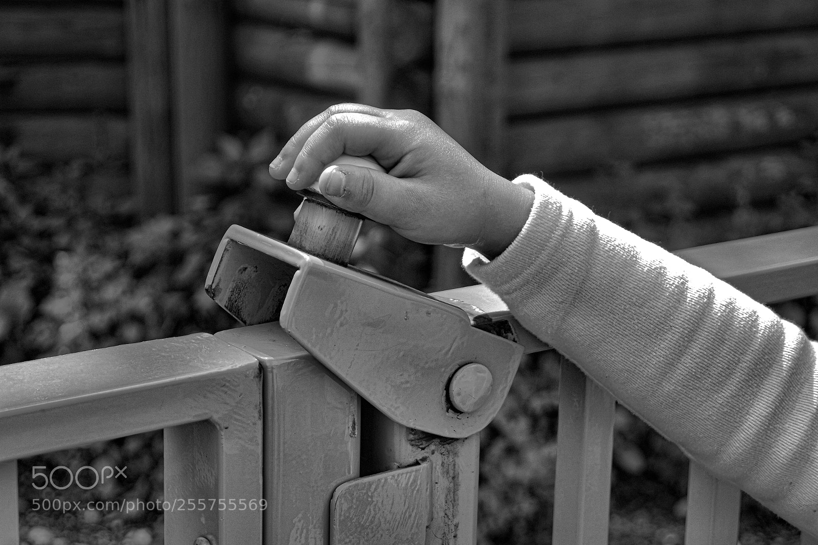 Samsung NX3000 sample photo. Untitled photography