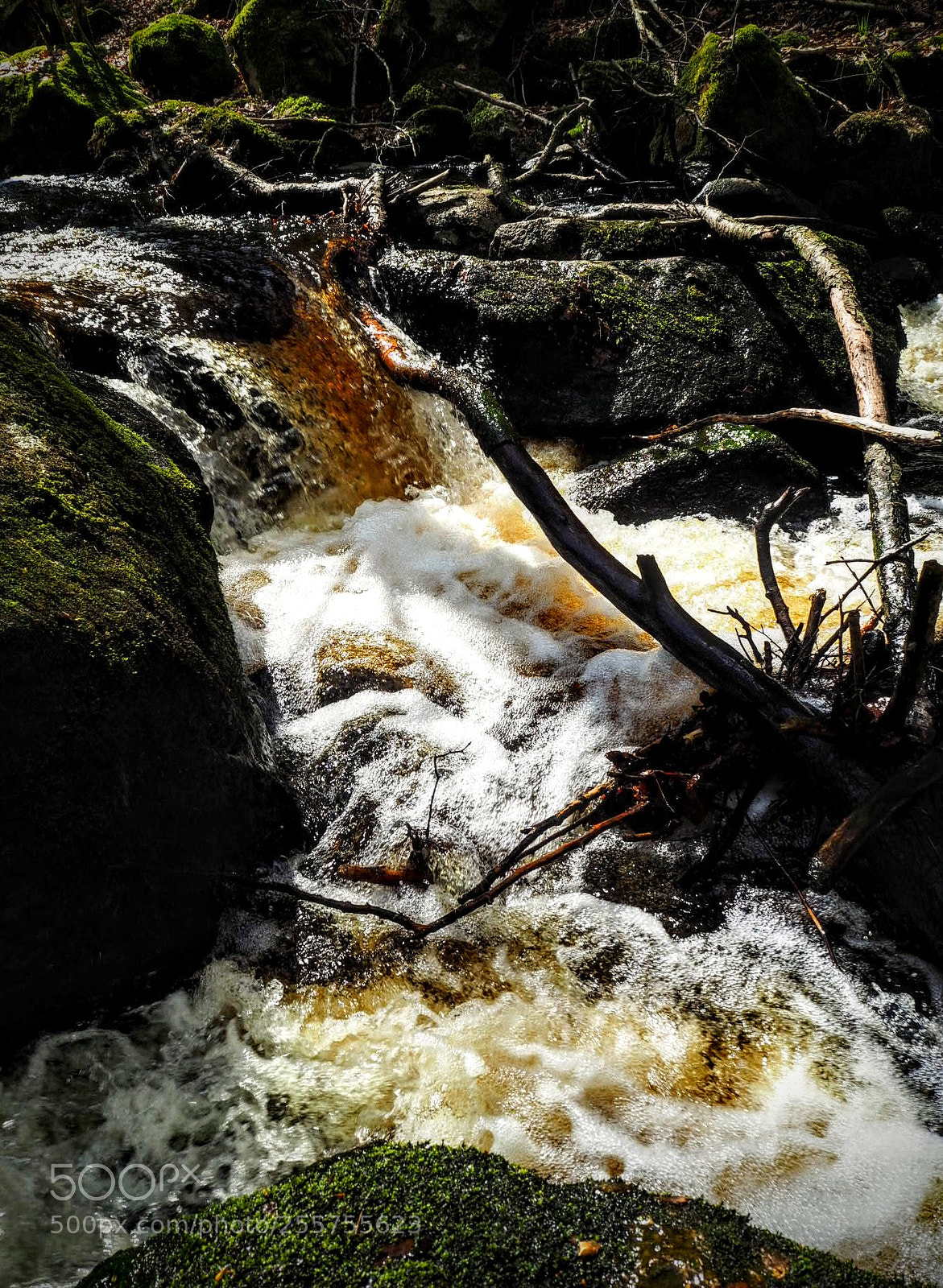 Olympus OM-D E-M10 II sample photo. Whitewater photography