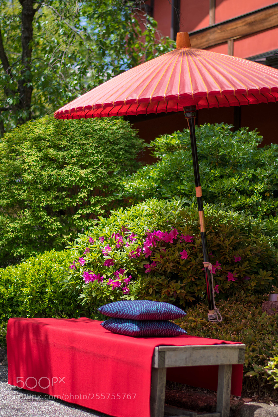 Nikon D7500 sample photo. Red parasol photography