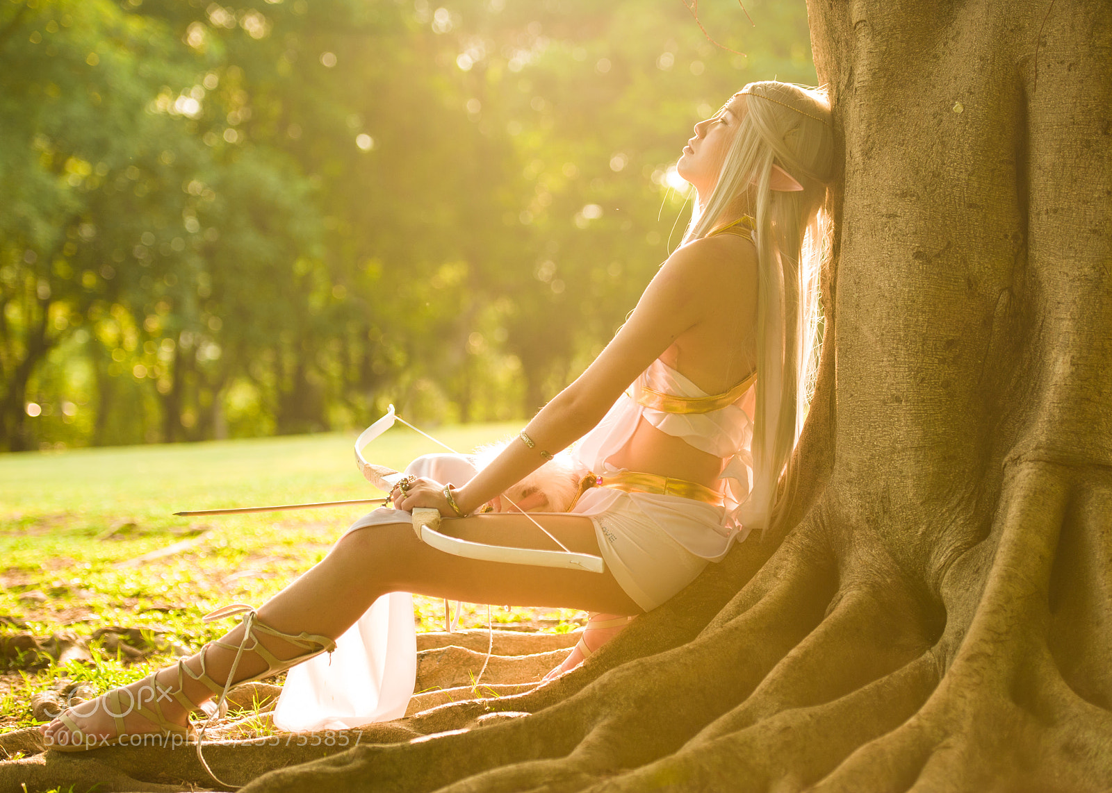 Nikon D700 sample photo. Elf photography