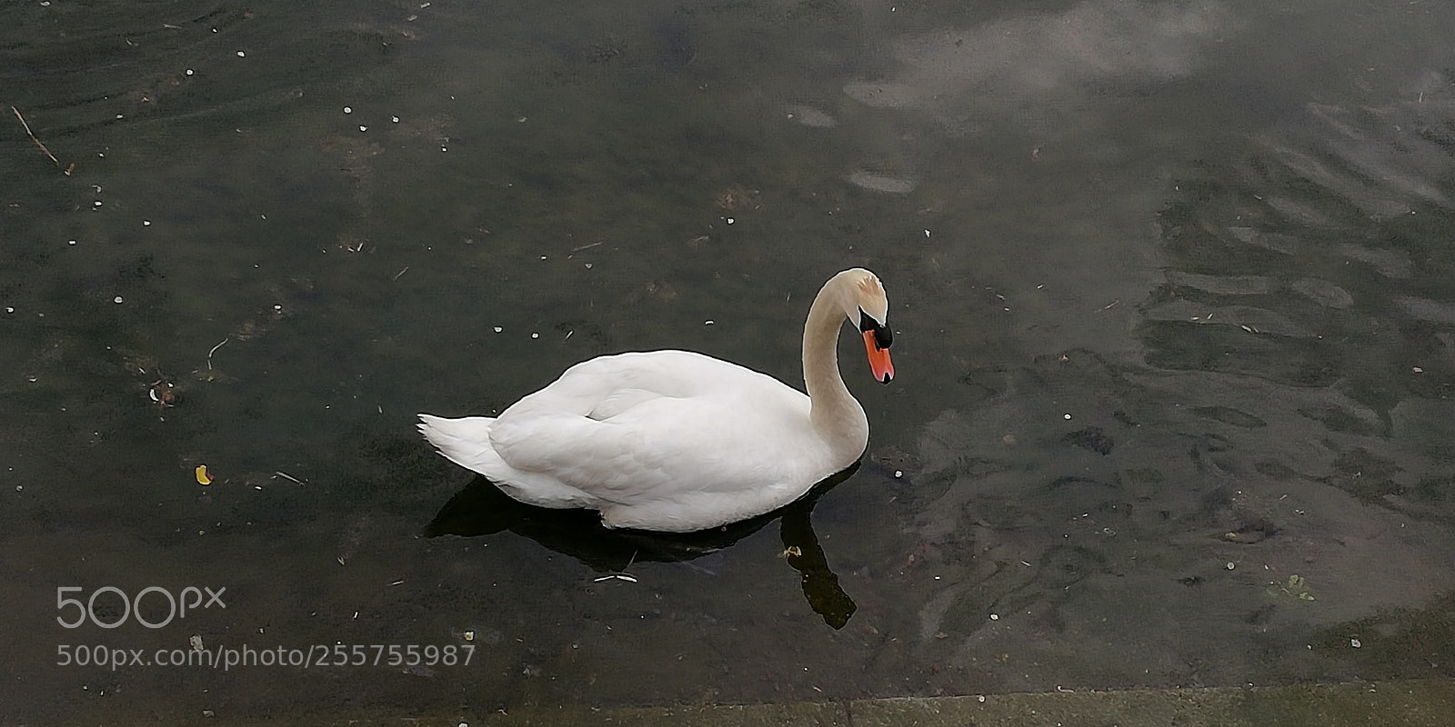 HUAWEI Mate 10 Lite sample photo. Untitled photography