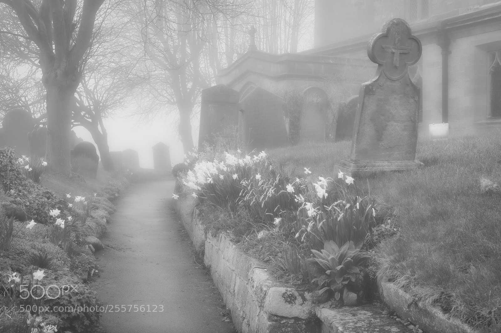 Fujifilm X-Pro2 sample photo. Mists of time. photography