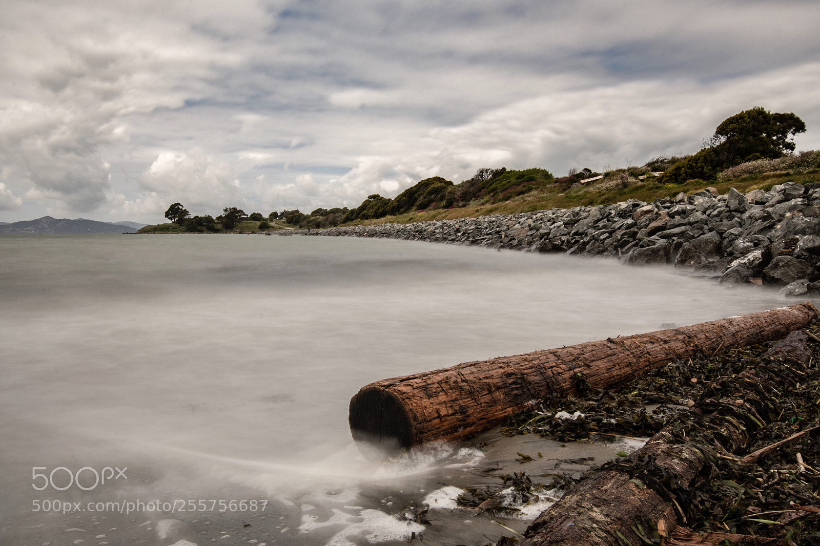 Nikon D500 sample photo. Shoreline at the albany photography