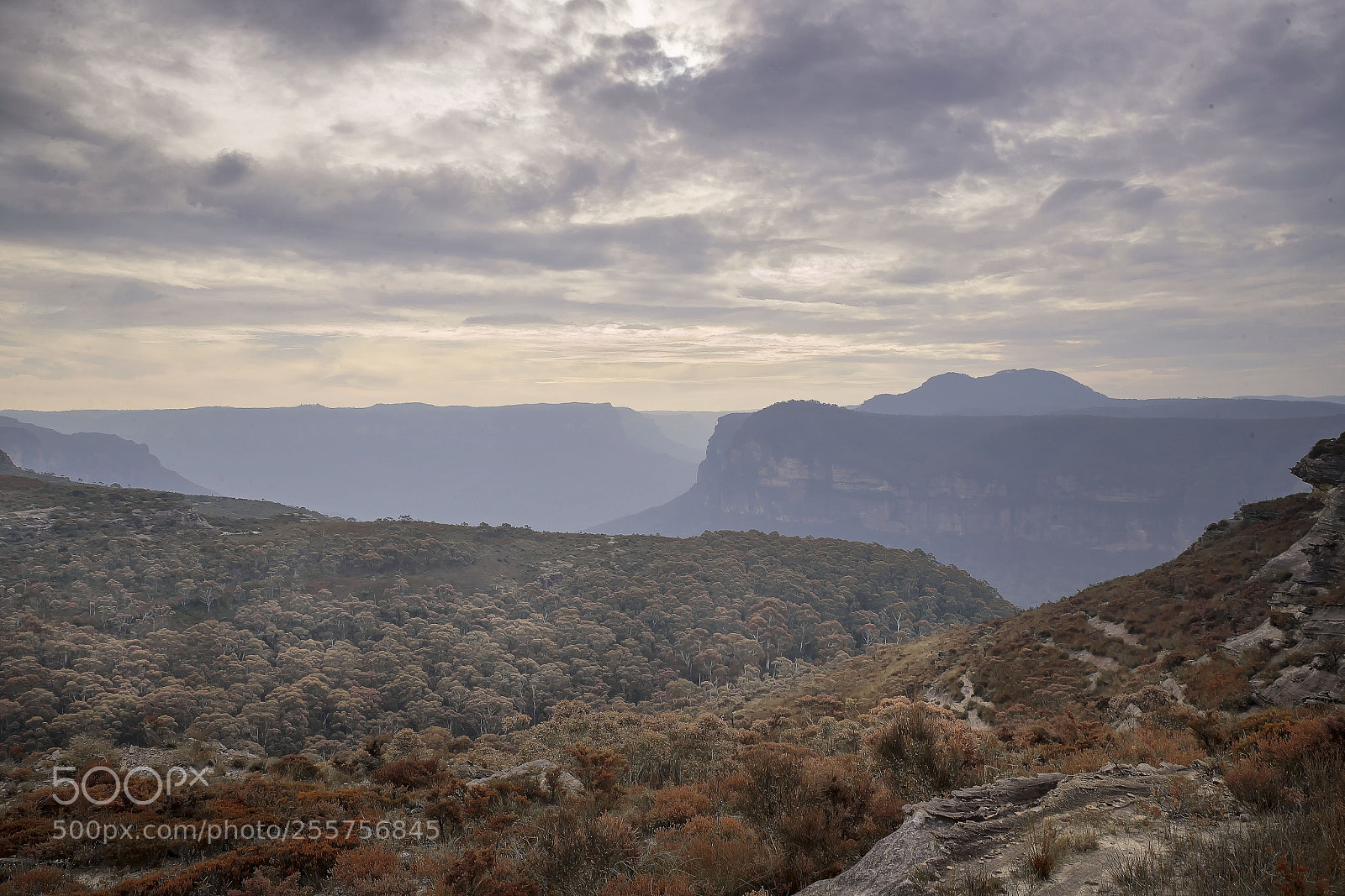 Canon EOS-1D X Mark II sample photo. Mount hay, leura photography