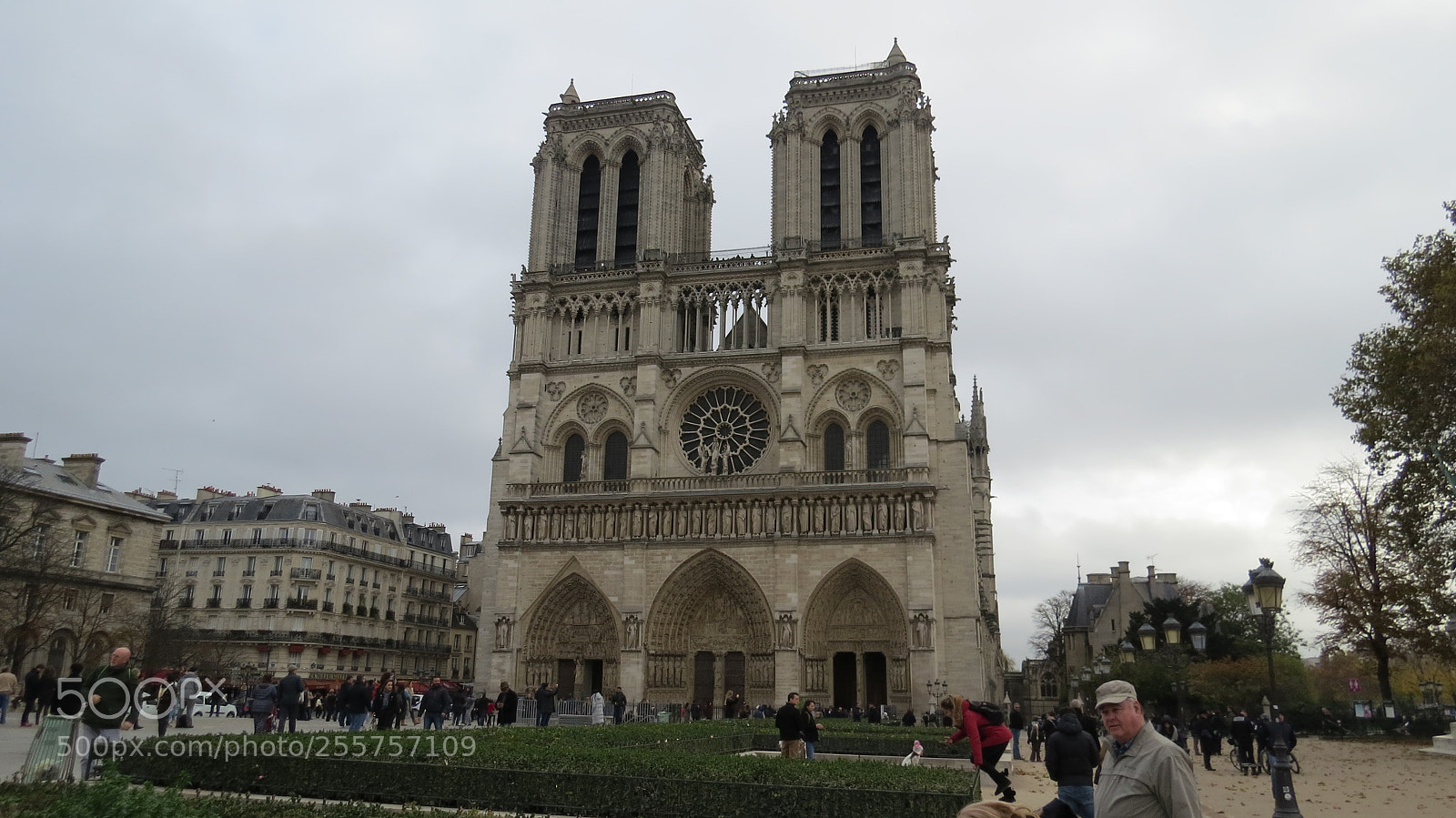 Canon PowerShot SX50 HS sample photo. Catedral de notre dame photography