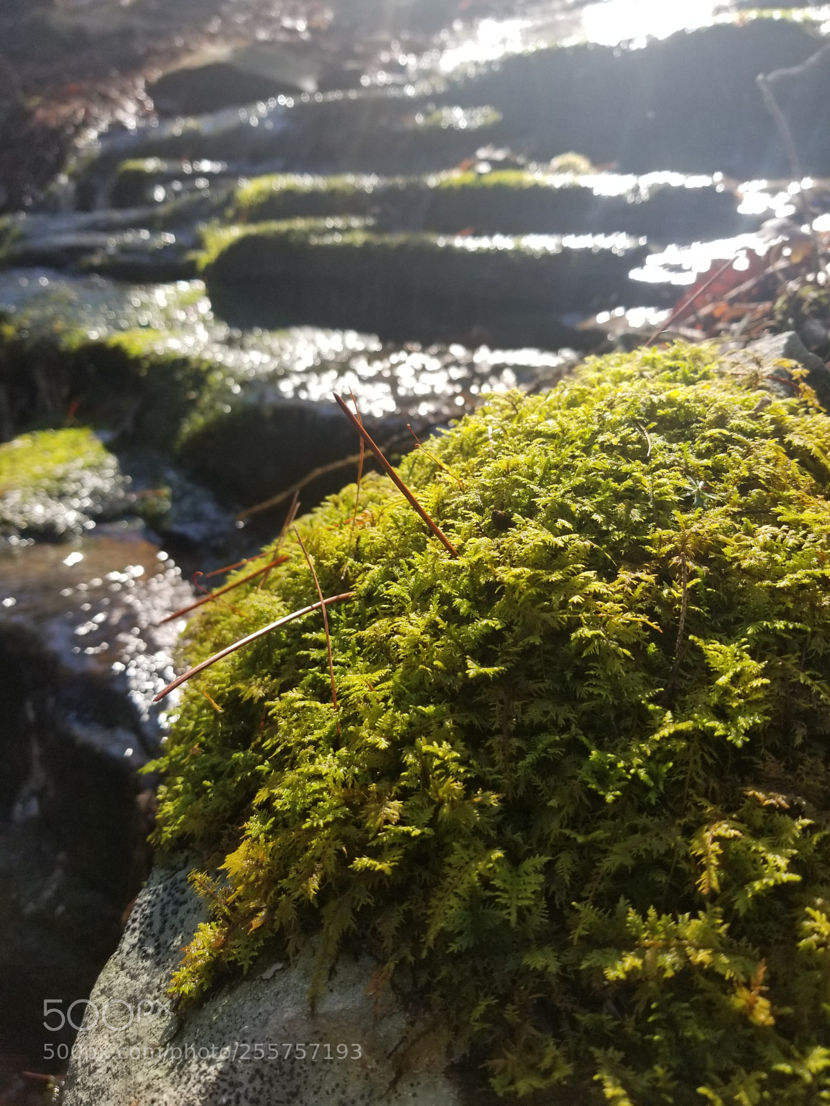Samsung Galaxy S8 sample photo. Tennessee stream photography